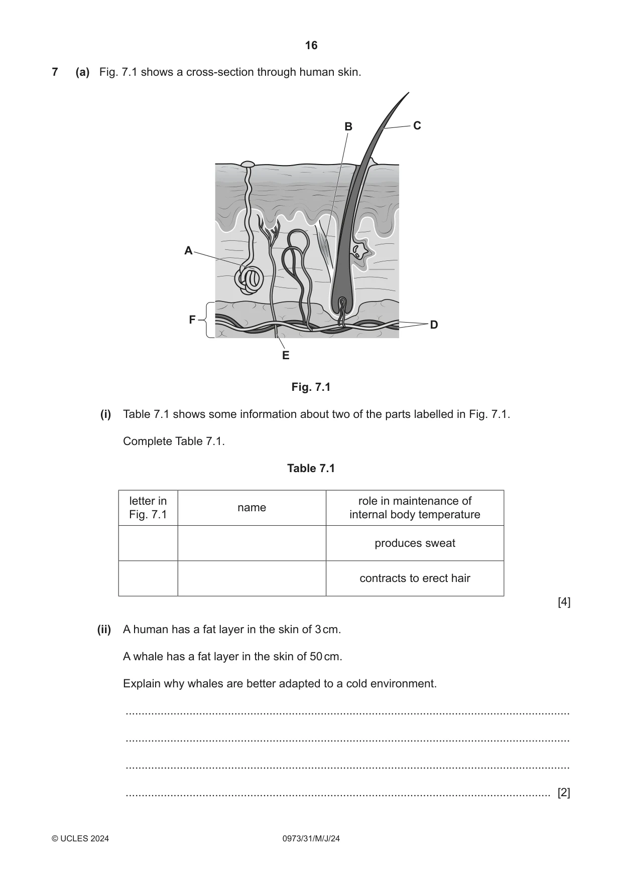 Cambridge IGCSE Sciences - Co-ordinated (9-1) 0973 2024 May/June Paper 3 · Variant 1 question paper, page 16 of 28