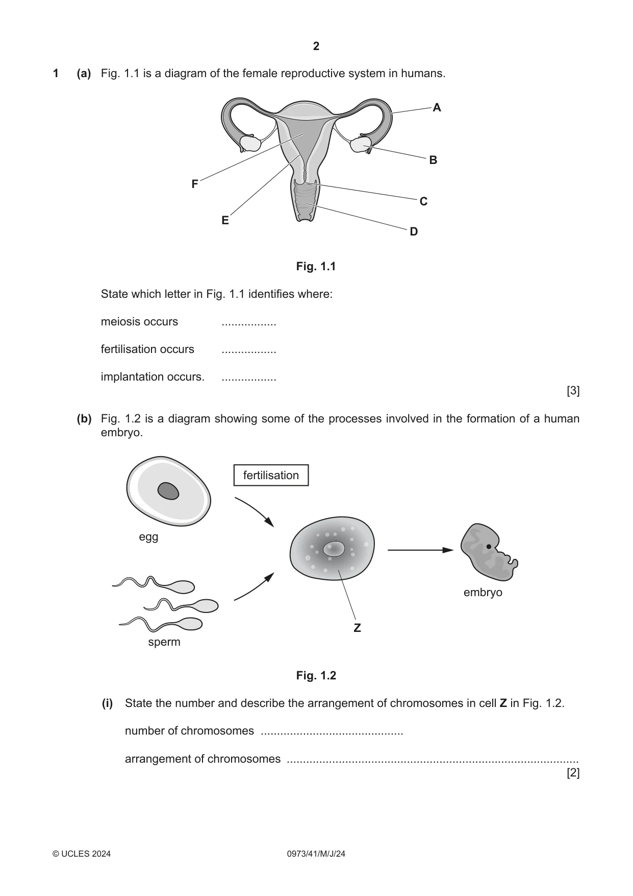Cambridge IGCSE Sciences - Co-ordinated (9-1) 0973 2024 May/June Paper 4 · Variant 1 question paper, page 2 of 28