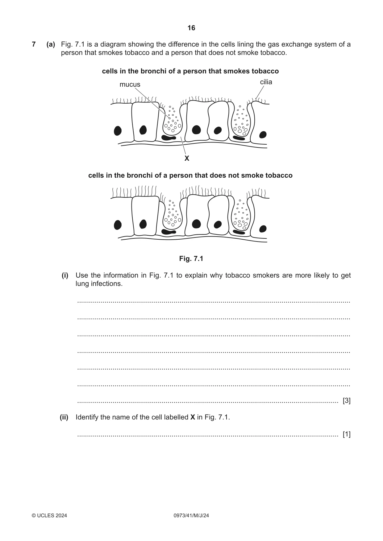 Cambridge IGCSE Sciences - Co-ordinated (9-1) 0973 2024 May/June Paper 4 · Variant 1 question paper, page 16 of 28