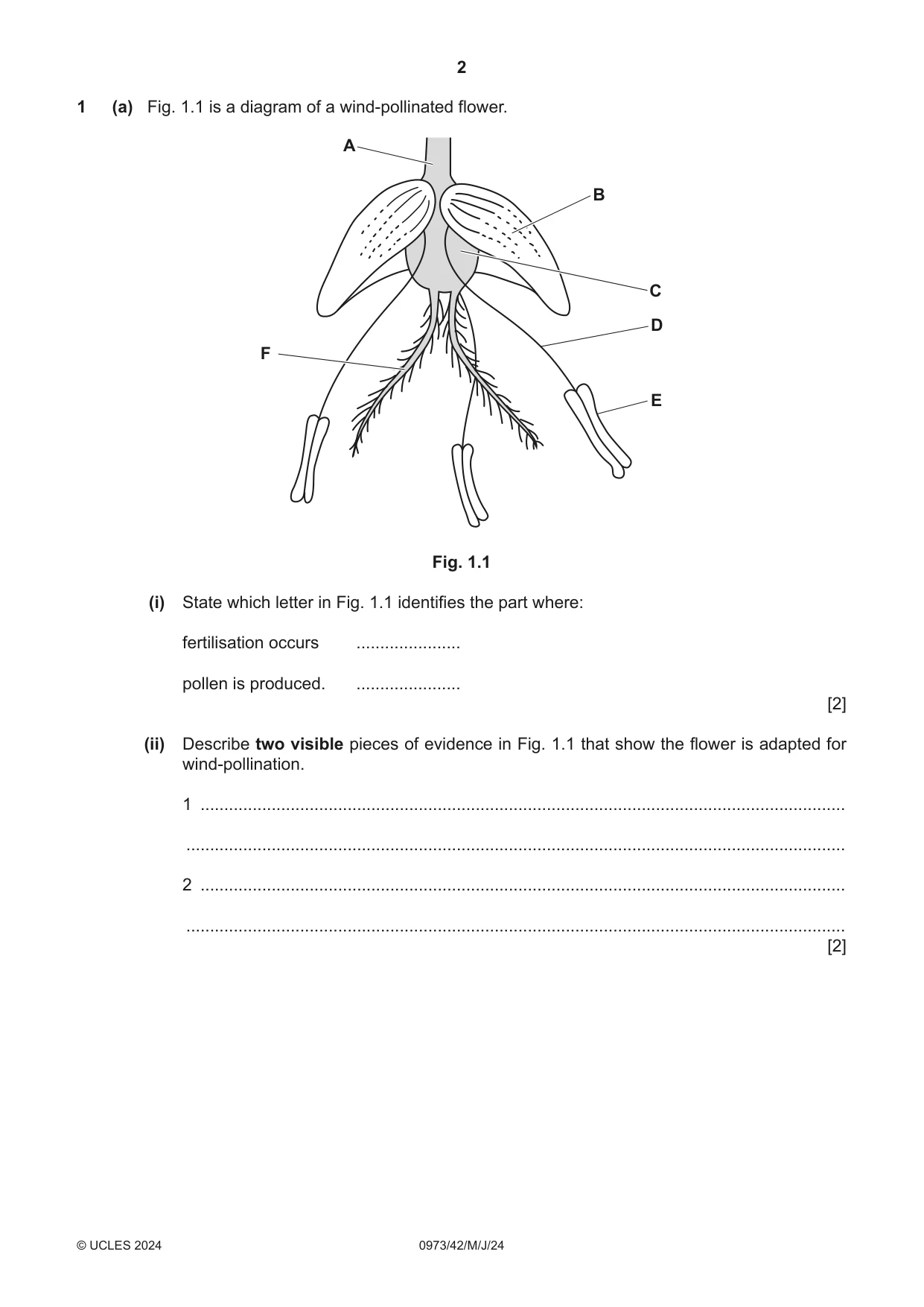 Cambridge IGCSE Sciences - Co-ordinated (9-1) 0973 2024 May/June Paper 4 · Variant 2 question paper, page 2 of 28