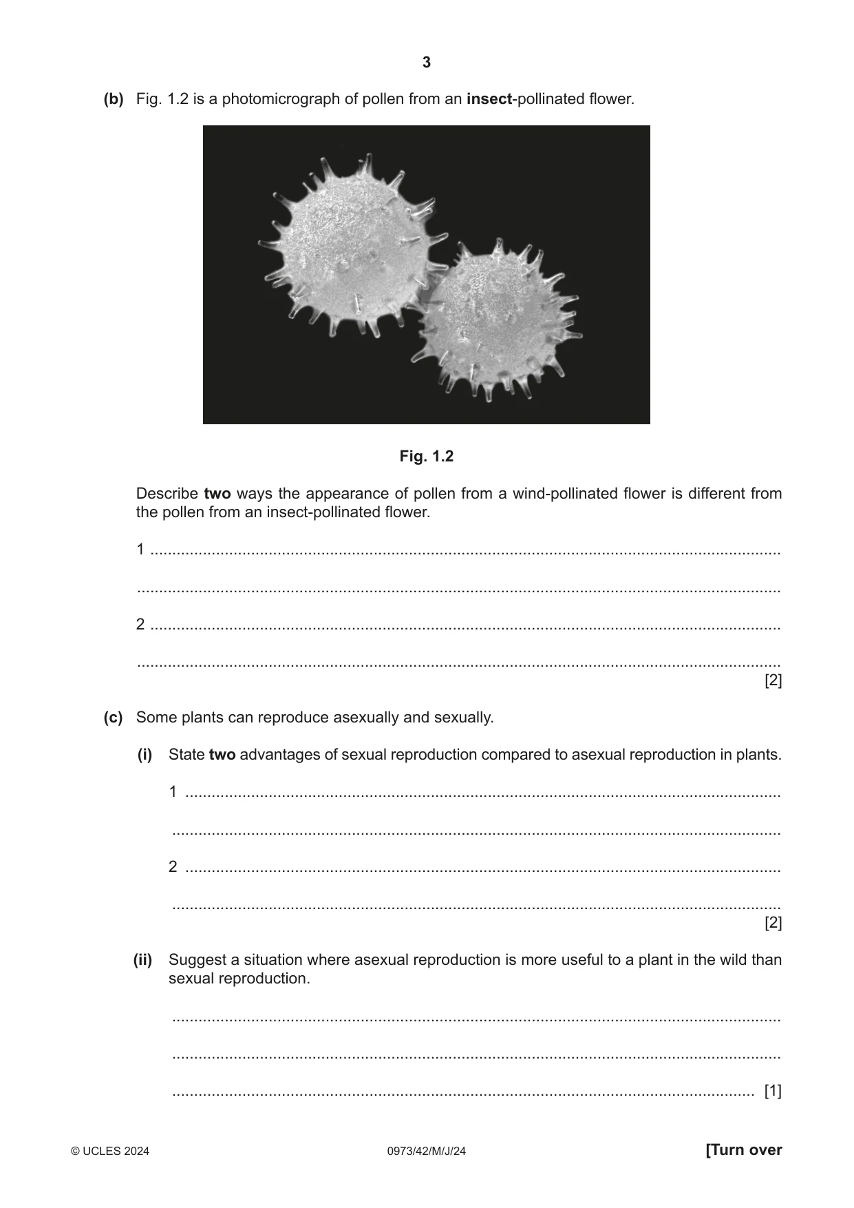 Cambridge IGCSE Sciences - Co-ordinated (9-1) 0973 2024 May/June Paper 4 · Variant 2 question paper, page 3 of 28