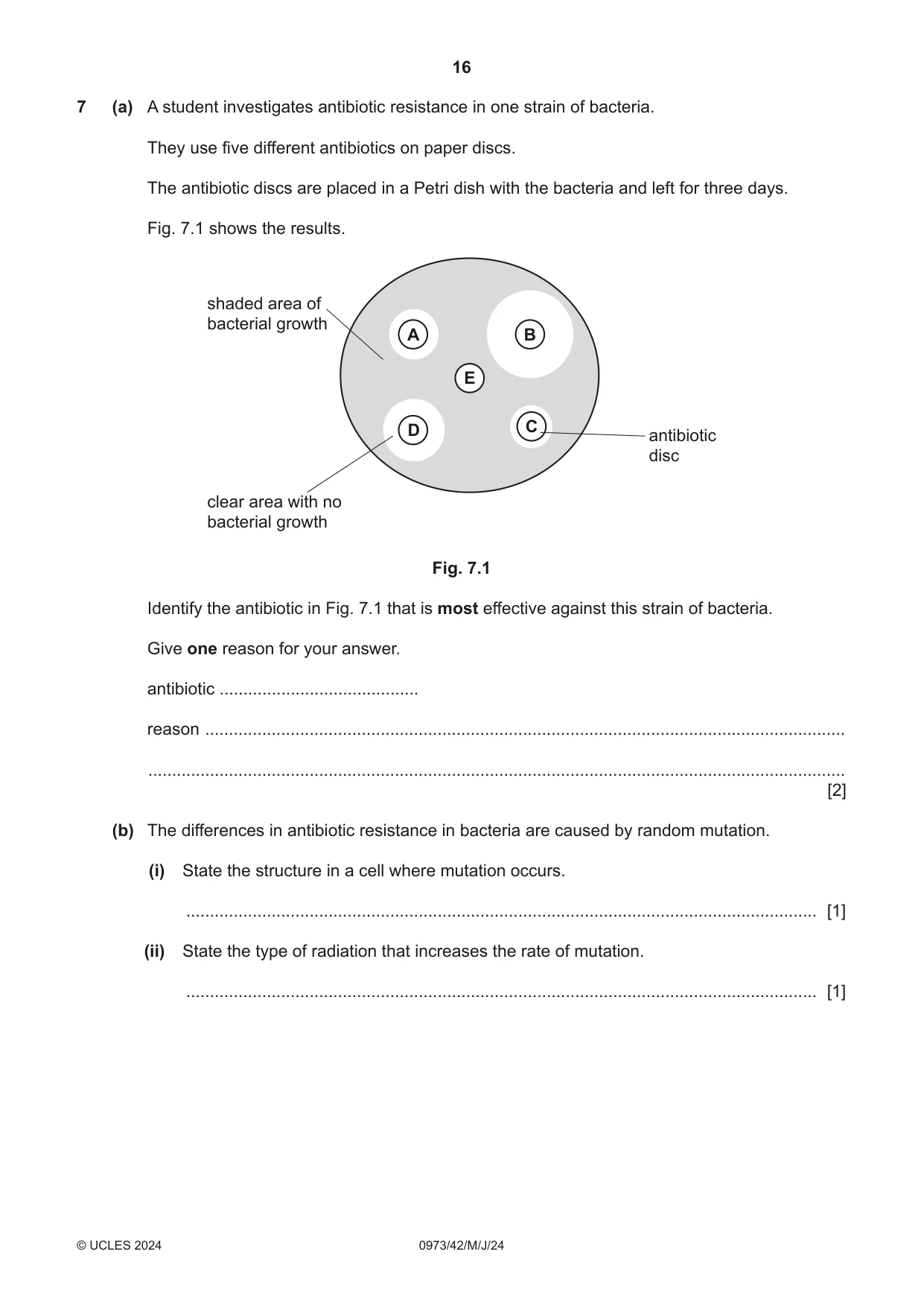 Cambridge IGCSE Sciences - Co-ordinated (9-1) 0973 2024 May/June Paper 4 · Variant 2 question paper, page 16 of 28