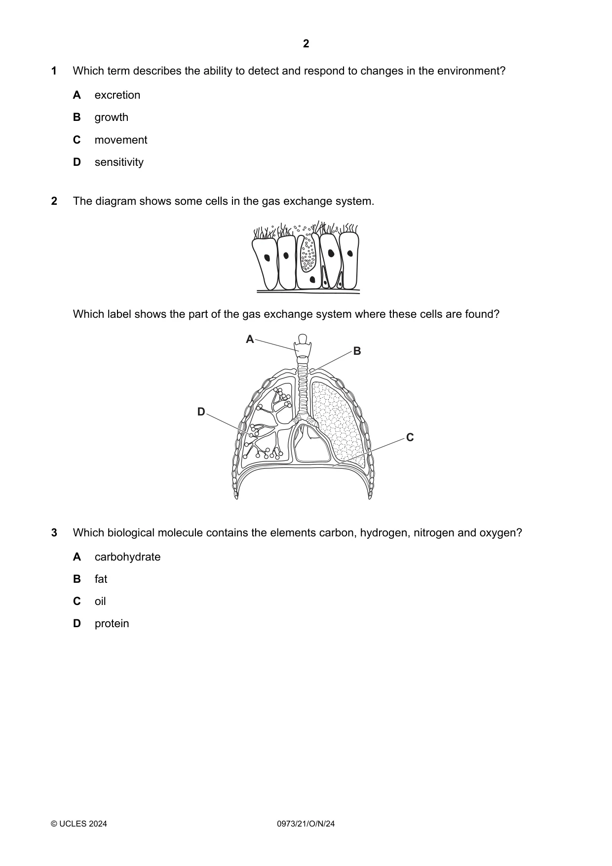 Cambridge IGCSE Sciences - Co-ordinated (9-1) 0973 2024 Oct/Nov Paper 2 · Variant 1 question paper, page 2 of 16