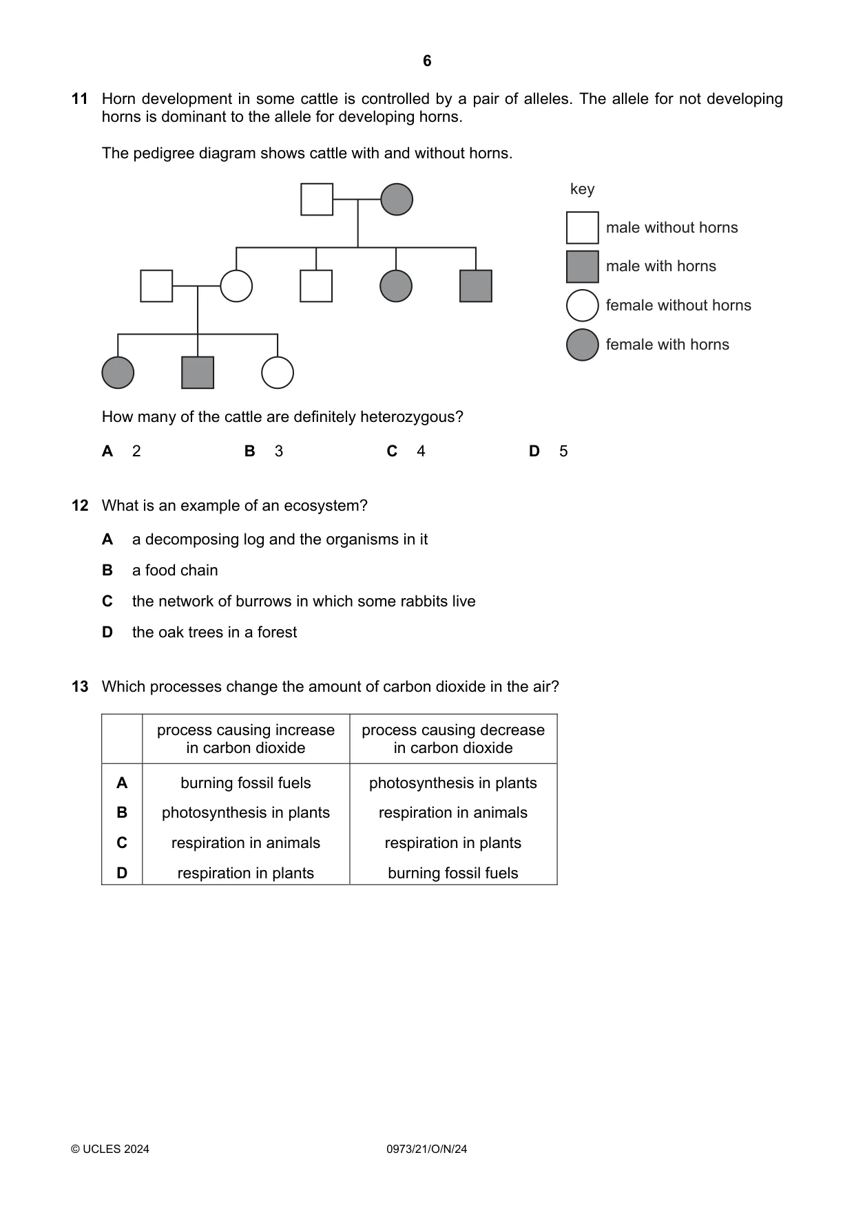 Cambridge IGCSE Sciences - Co-ordinated (9-1) 0973 2024 Oct/Nov Paper 2 · Variant 1 question paper, page 6 of 16