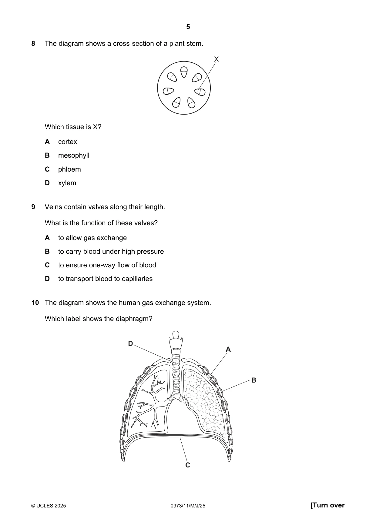Cambridge IGCSE Sciences - Co-ordinated (9-1) 0973 2025 May/June Paper 1 · Variant 1 question paper, page 5 of 16