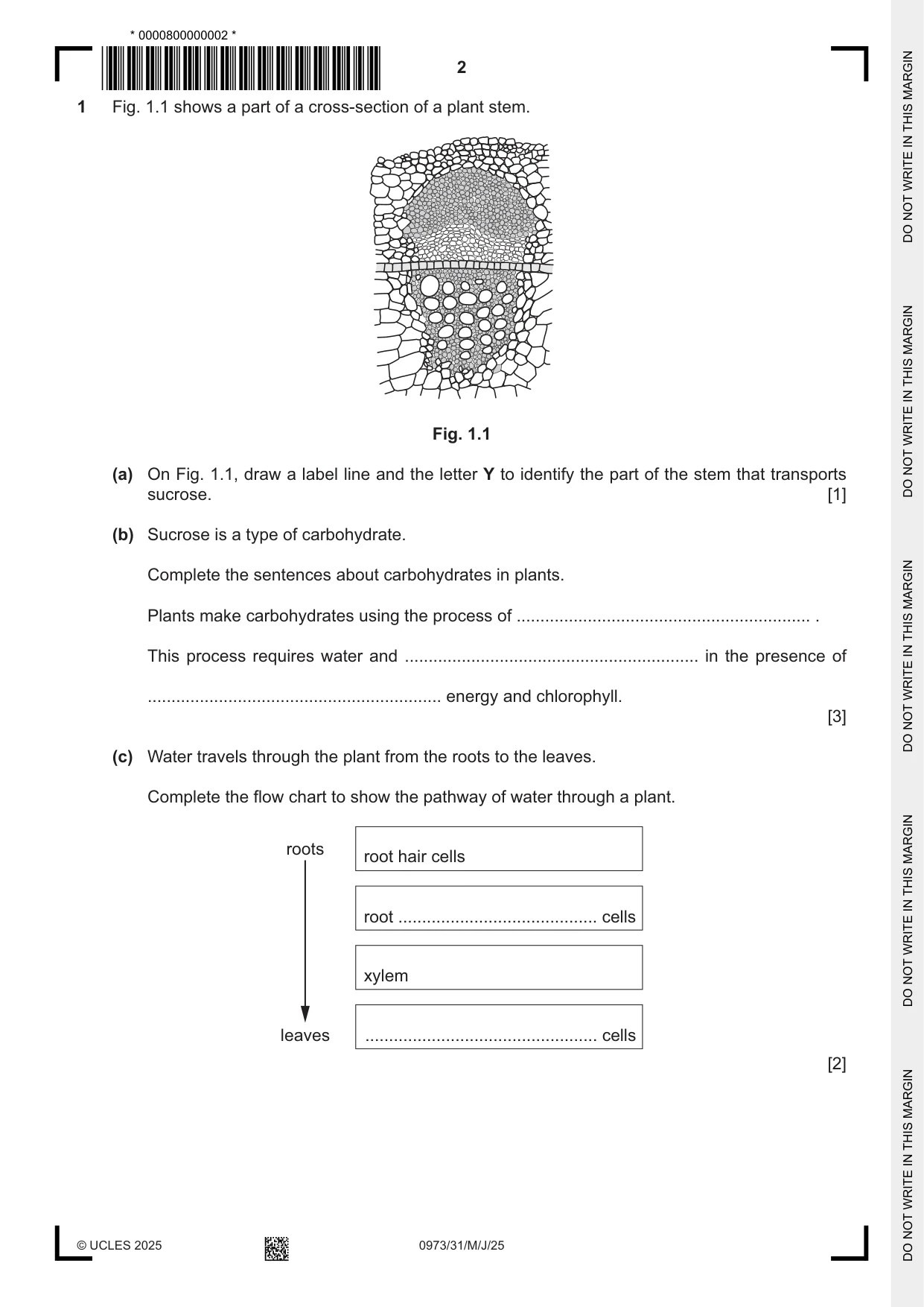 Cambridge IGCSE Sciences - Co-ordinated (9-1) 0973 2025 May/June Paper 3 · Variant 1 question paper, page 2 of 28