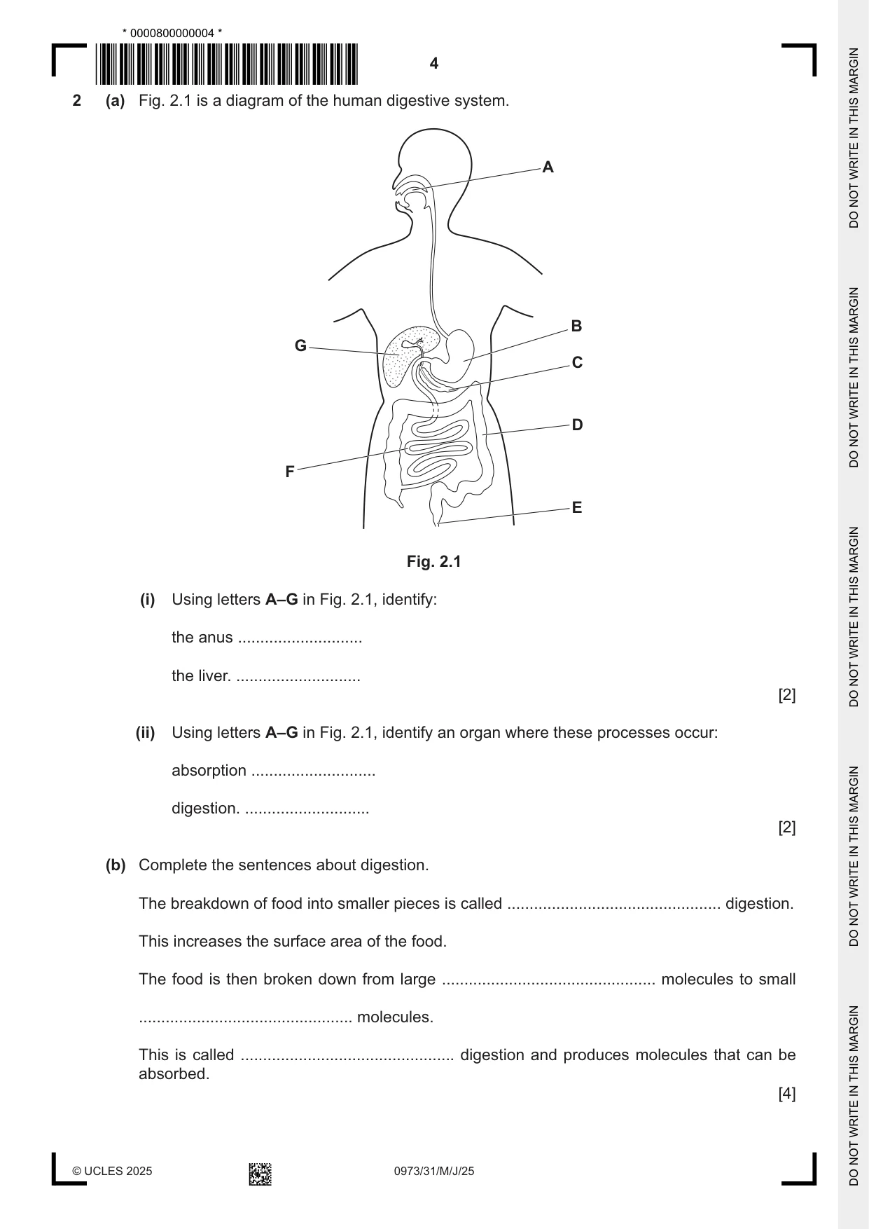 Cambridge IGCSE Sciences - Co-ordinated (9-1) 0973 2025 May/June Paper 3 · Variant 1 question paper, page 4 of 28