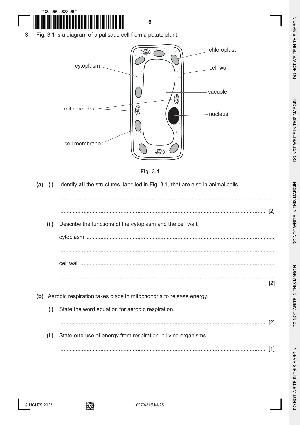 Cambridge IGCSE Sciences - Co-ordinated (9-1) 0973 2025 May/June Paper 3 · Variant 1 question paper, page 6 of 28
