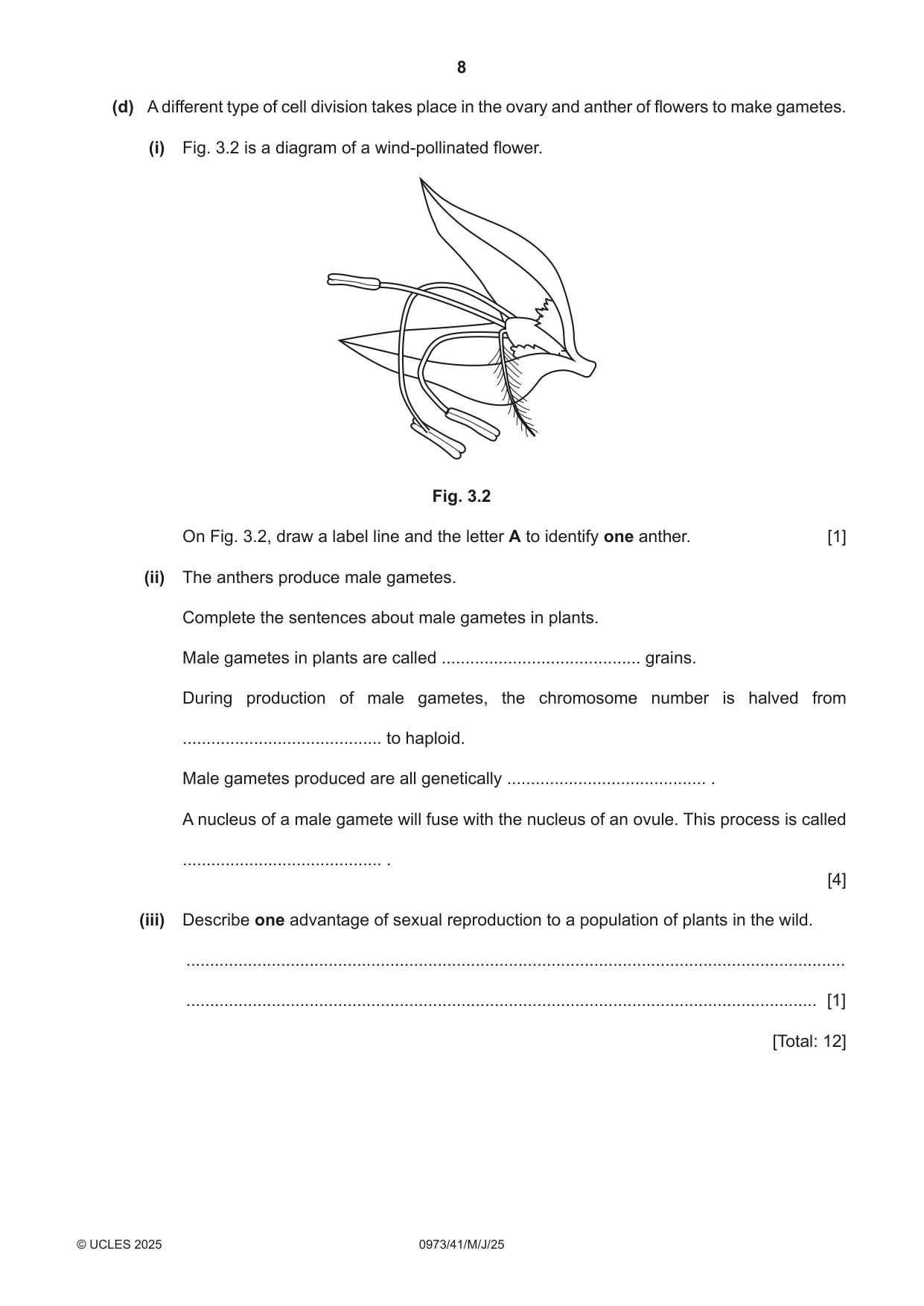 Cambridge IGCSE Sciences - Co-ordinated (9-1) 0973 2025 May/June Paper 4 · Variant 1 question paper, page 8 of 32