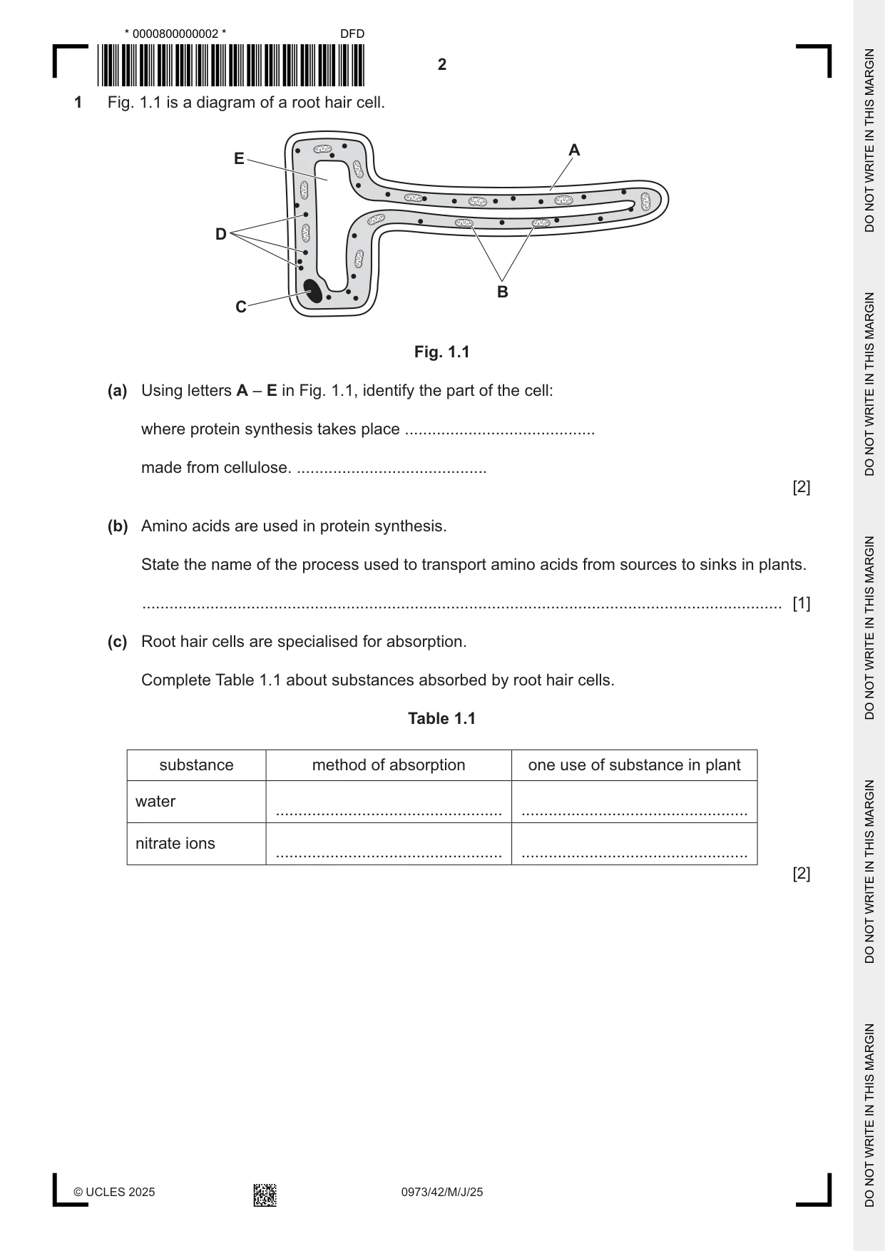 Cambridge IGCSE Sciences - Co-ordinated (9-1) 0973 2025 May/June Paper 4 · Variant 2 question paper, page 2 of 28
