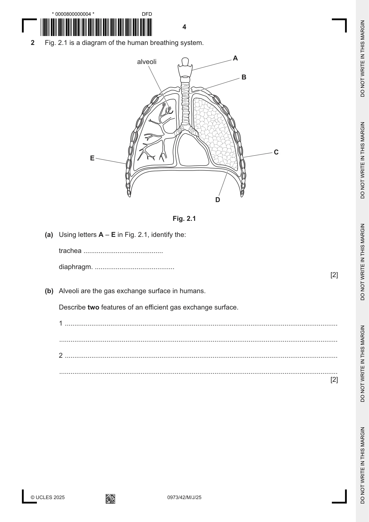 Cambridge IGCSE Sciences - Co-ordinated (9-1) 0973 2025 May/June Paper 4 · Variant 2 question paper, page 4 of 28