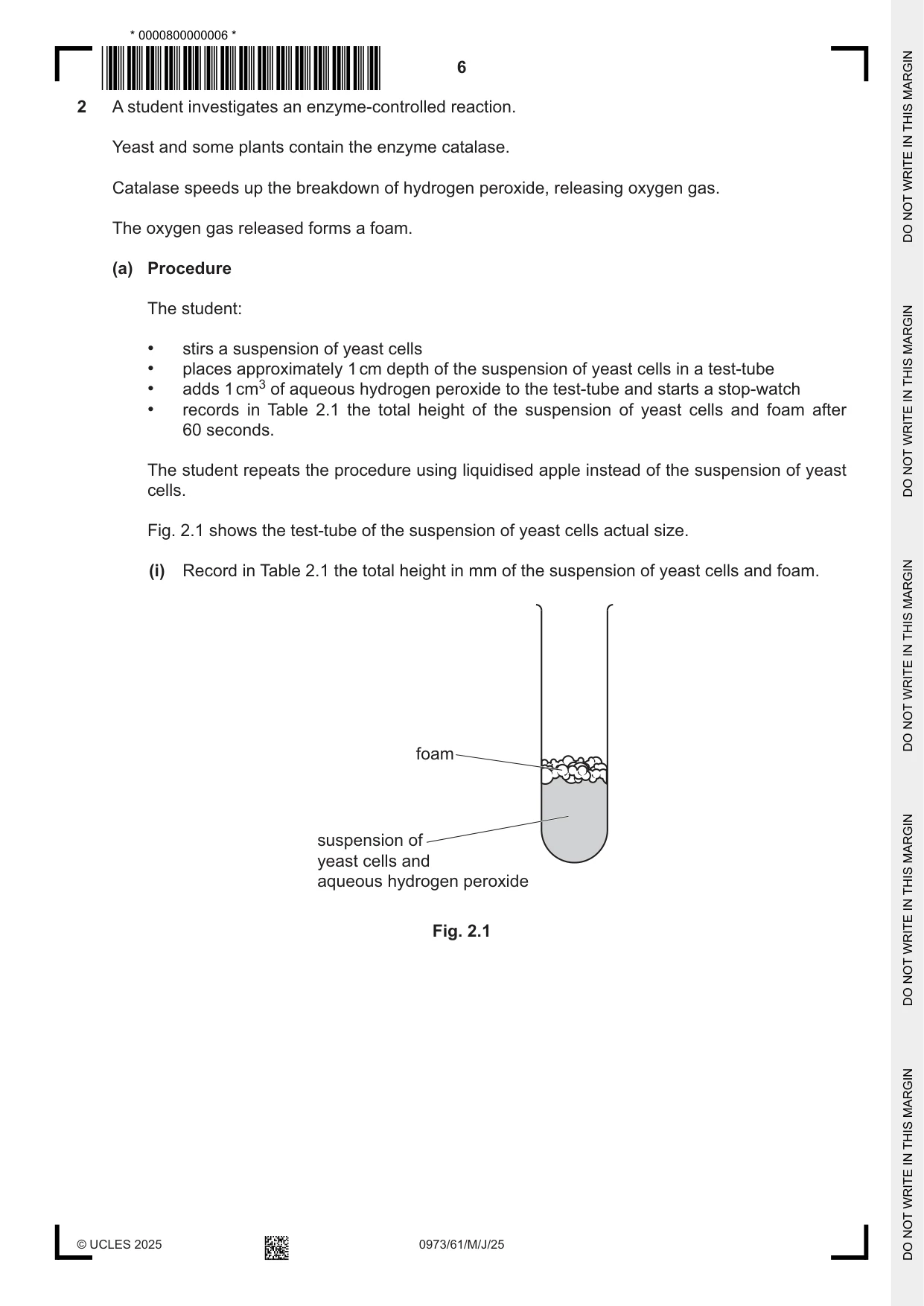 Cambridge IGCSE Sciences - Co-ordinated (9-1) 0973 2025 May/June Paper 6 · Variant 1 question paper, page 6 of 24