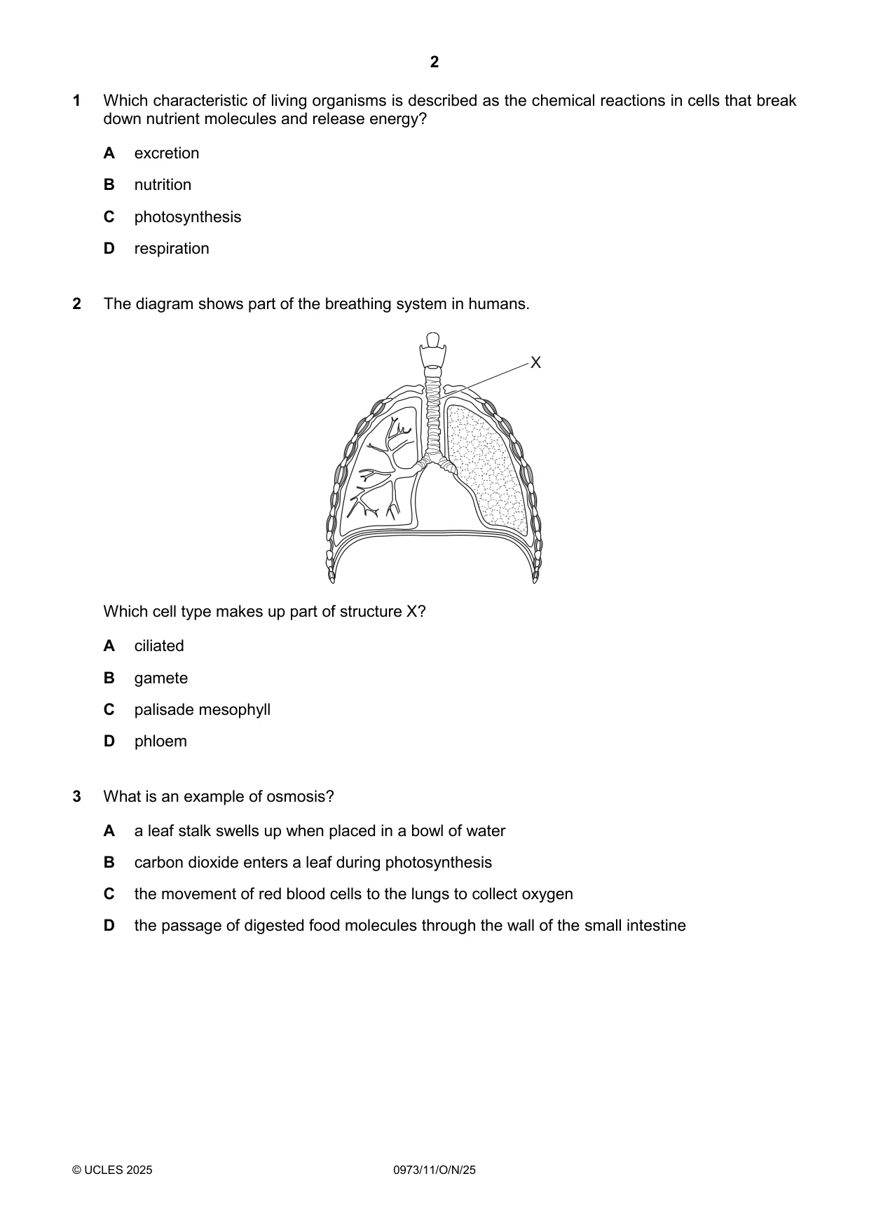 Cambridge IGCSE Sciences - Co-ordinated (9-1) 0973 2025 Oct/Nov Paper 1 · Variant 1 question paper, page 2 of 16