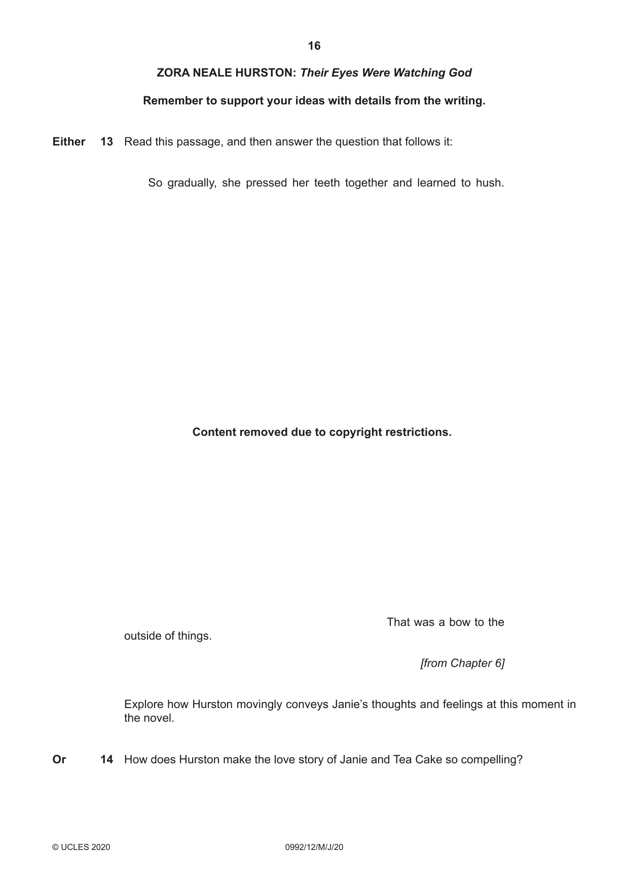 Cambridge IGCSE English - Literature in English (9-1) 0992 2020 May/June Paper 1 · Variant 2 question paper, page 16 of 28