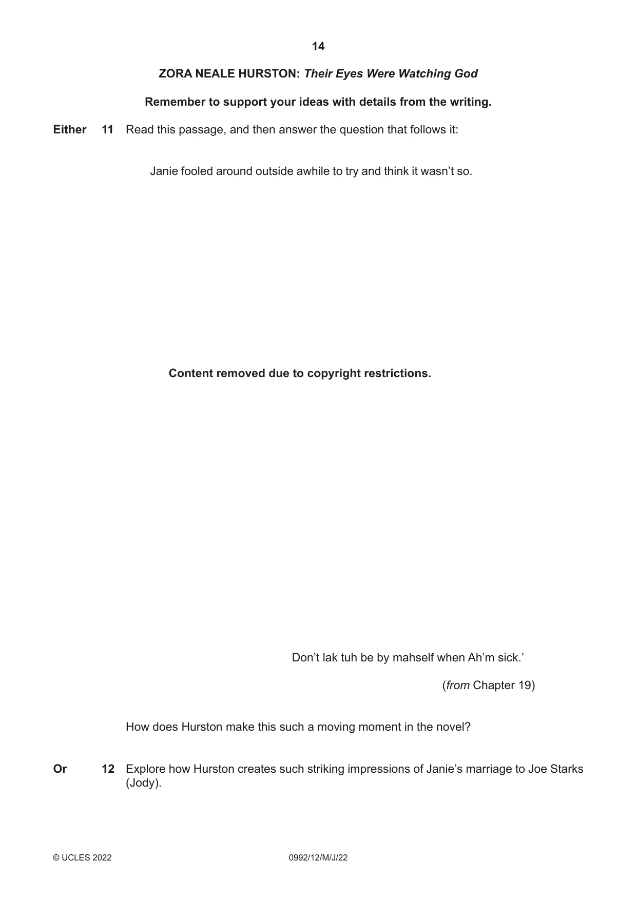 Cambridge IGCSE English - Literature in English (9-1) 0992 2022 May/June Paper 1 · Variant 2 question paper, page 14 of 28