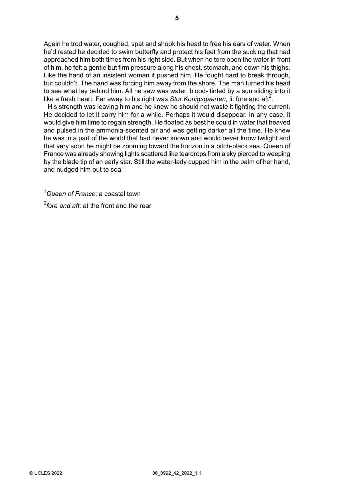Cambridge IGCSE English - Literature in English (9-1) 0992 2022 May/June Paper 4 · Variant 2 question paper, page 5 of 8