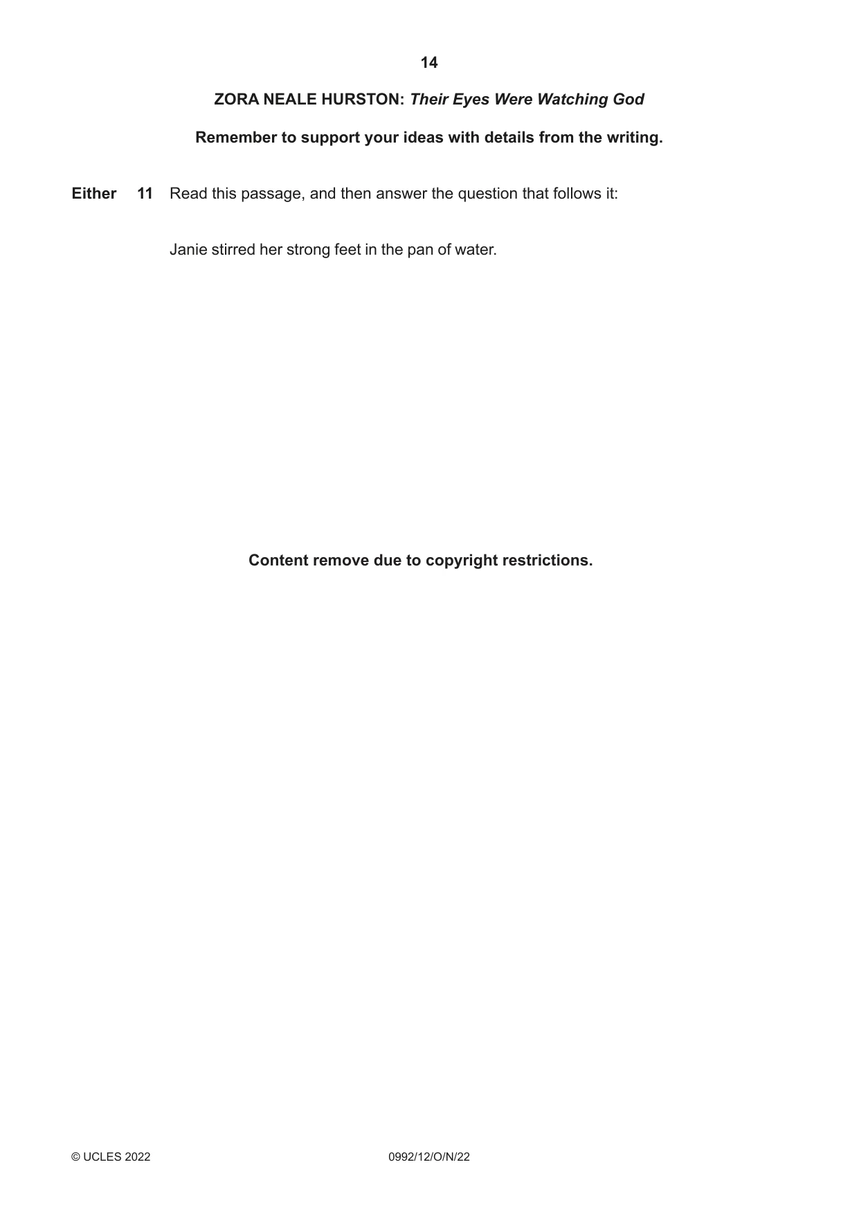 Cambridge IGCSE English - Literature in English (9-1) 0992 2022 Oct/Nov Paper 1 · Variant 2 question paper, page 14 of 28