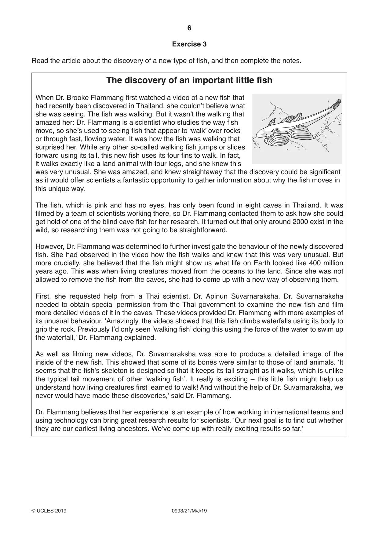 Cambridge IGCSE English Second Language (Speaking Endorsement) (9-1) 0993 2019 May/June Paper 2 · Variant 1 question paper, page 6 of 16