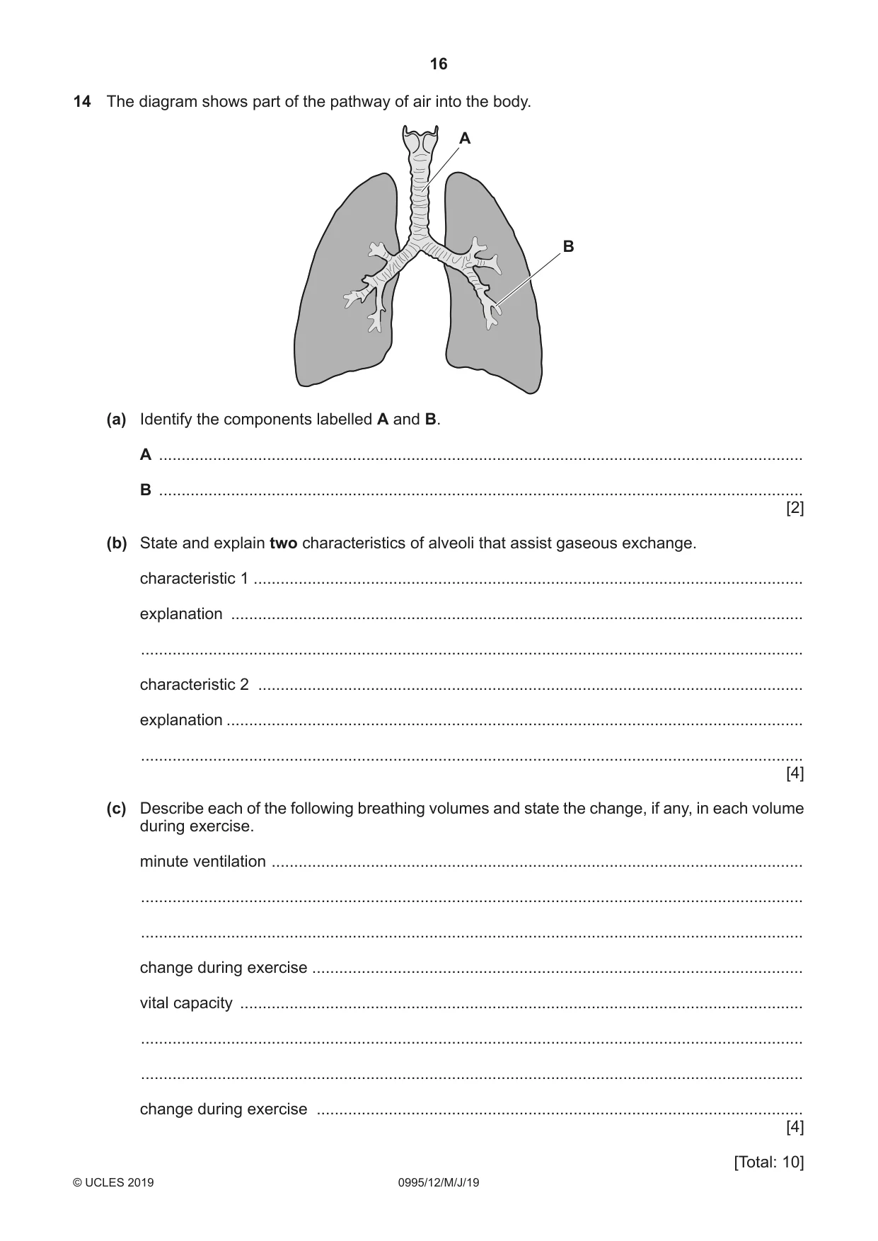 Cambridge IGCSE Physical Education (9-1) 0995 2019 May/June Paper 1 · Variant 2 question paper, page 16 of 20