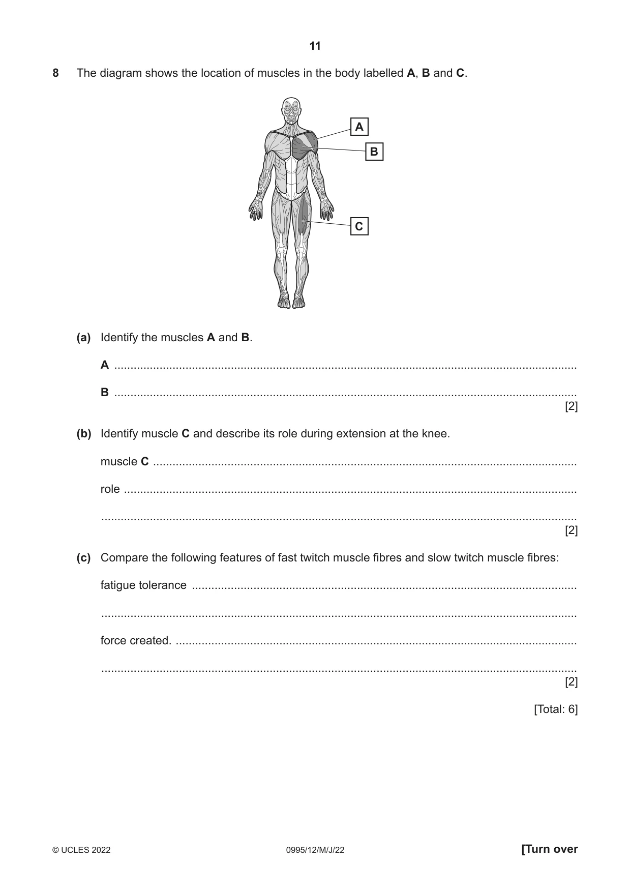 Cambridge IGCSE Physical Education (9-1) 0995 2022 May/June Paper 1 · Variant 2 question paper, page 11 of 20