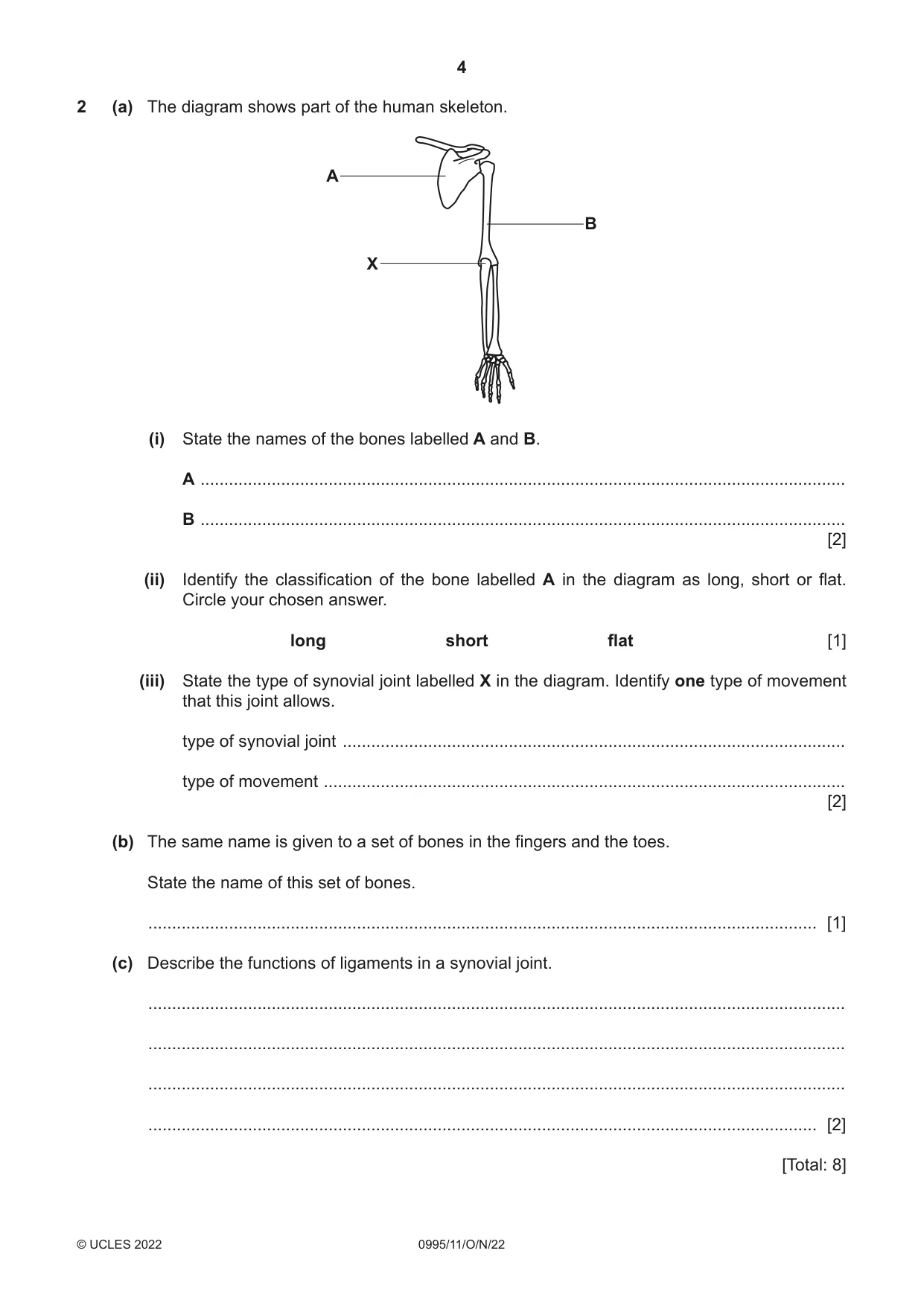 Cambridge IGCSE Physical Education (9-1) 0995 2022 Oct/Nov Paper 1 · Variant 1 question paper, page 4 of 16