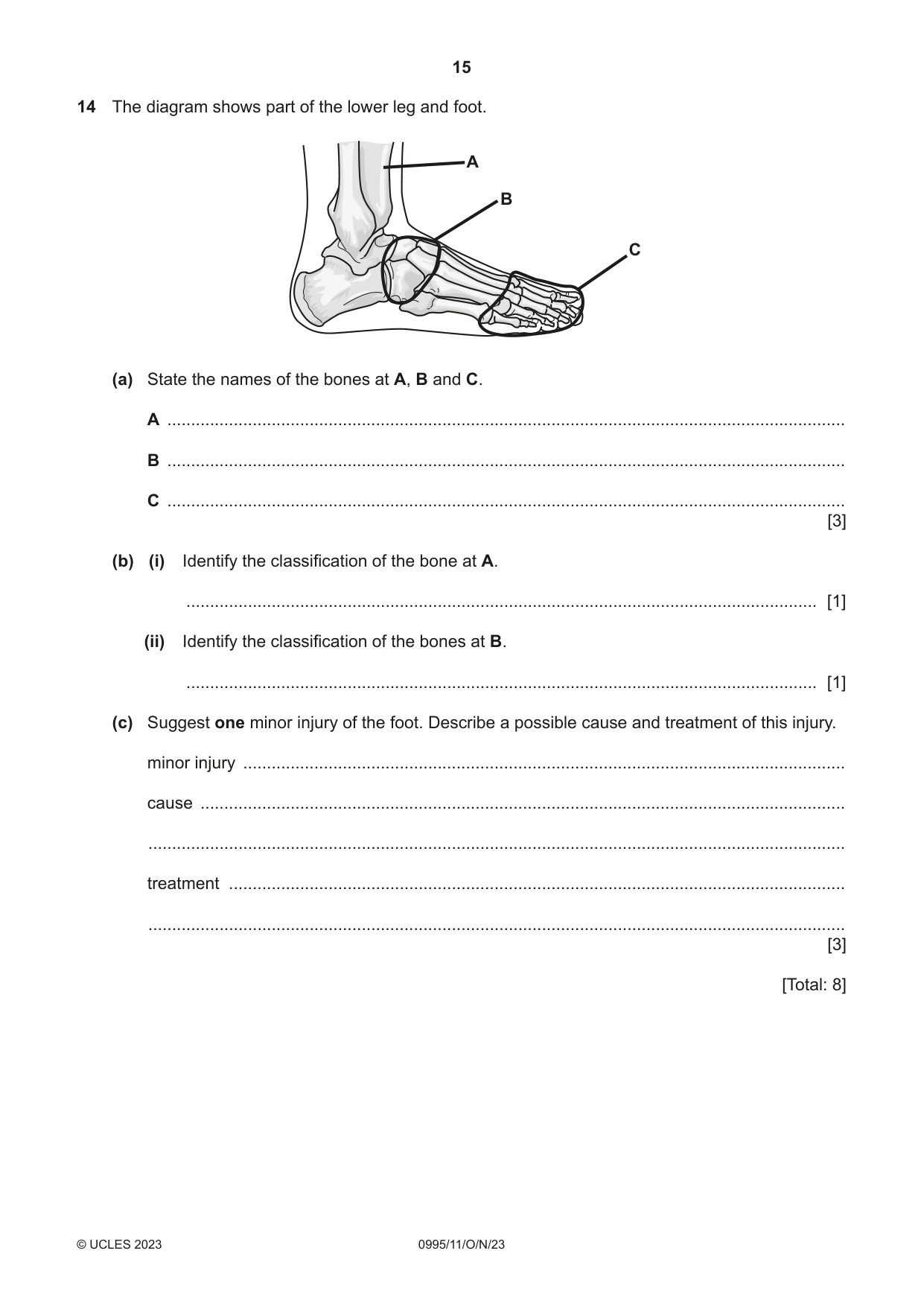 Cambridge IGCSE Physical Education (9-1) 0995 2023 Oct/Nov Paper 1 · Variant 1 question paper, page 15 of 16