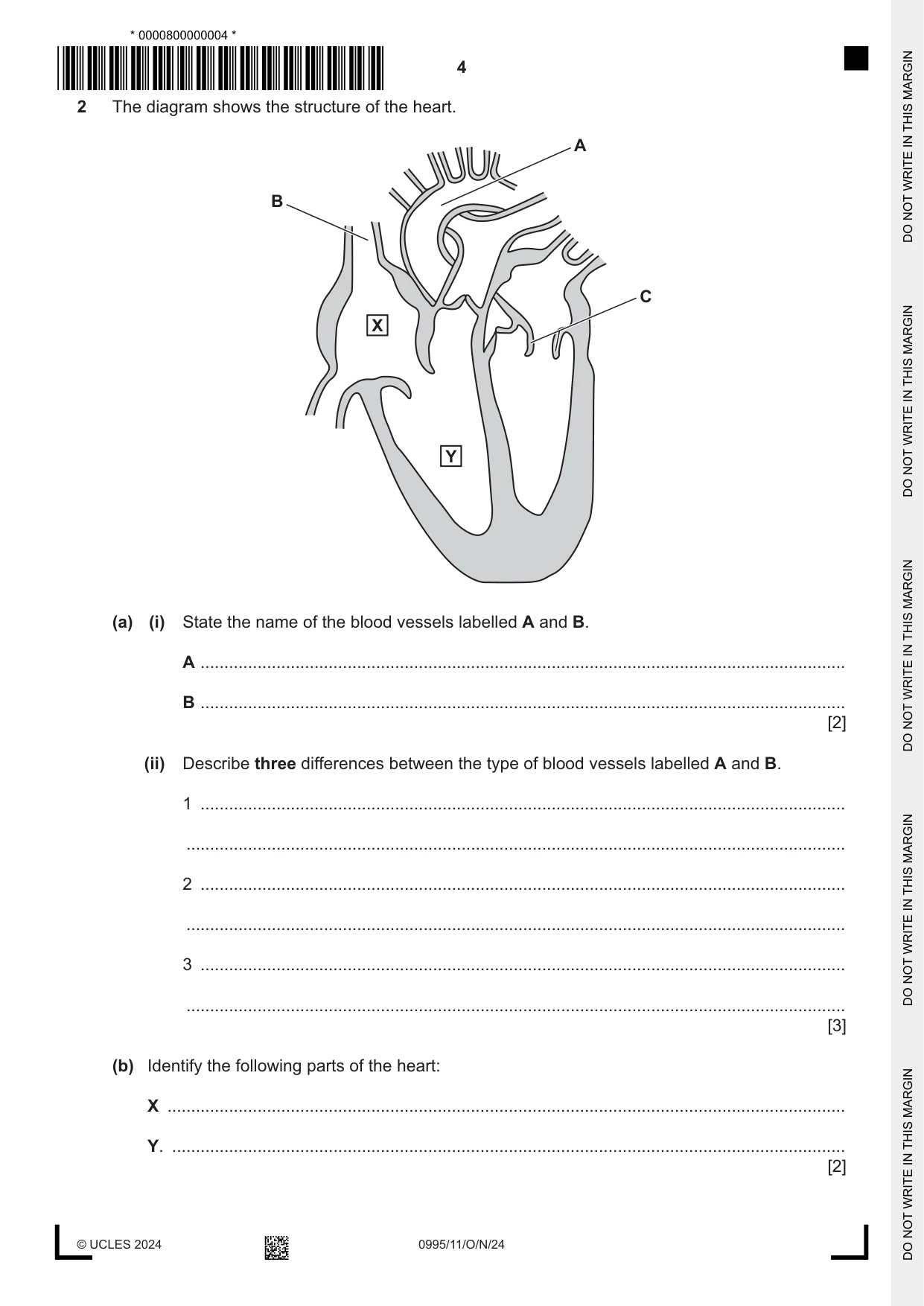 Cambridge IGCSE Physical Education (9-1) 0995 2024 Oct/Nov Paper 1 · Variant 1 question paper, page 4 of 16
